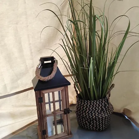 Glamping Casa Soarelui Cort de lux