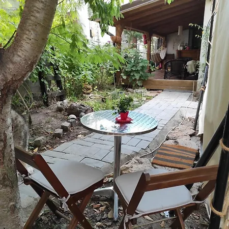 Glamping Casa Soarelui * Vama Veche