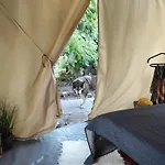 Glamping Casa Soarelui