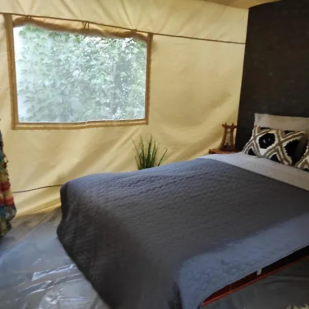 Glamping Casa Soarelui Vama Veche