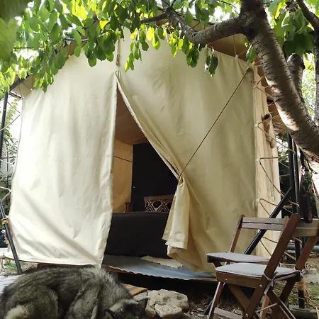 Luxury tent Glamping Casa Soarelui *
