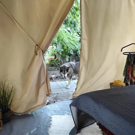 Glamping Casa Soarelui