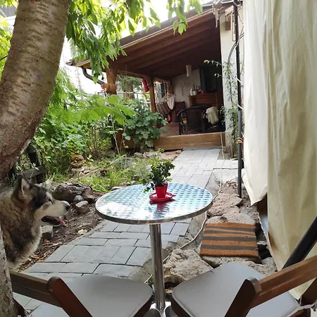 Glamping Casa Soarelui *
